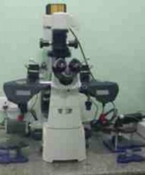 Dr. Shishir Kumar photo 6