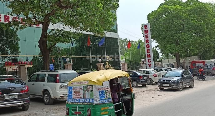 Dr. Ghanendra Kumar Yadav photo 10