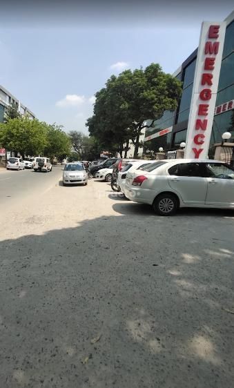 Dr. Ghanendra Kumar Yadav photo 6