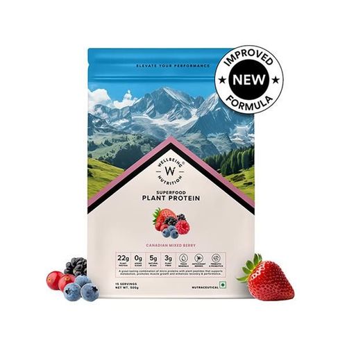 Wellbeing Nutrition Organic Vegan Plant Protein Isolate Powder - 22g Protein, 5g BCAA 500 gm