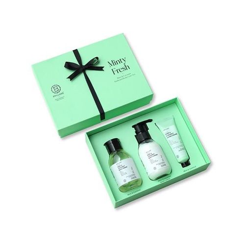 Brillare Minty Fresh Gift Box - Peppermint Face Wash, Peppermint Body Wash, Peppermint Face Scrub, Peppermint Body Scrub 900gm 1's