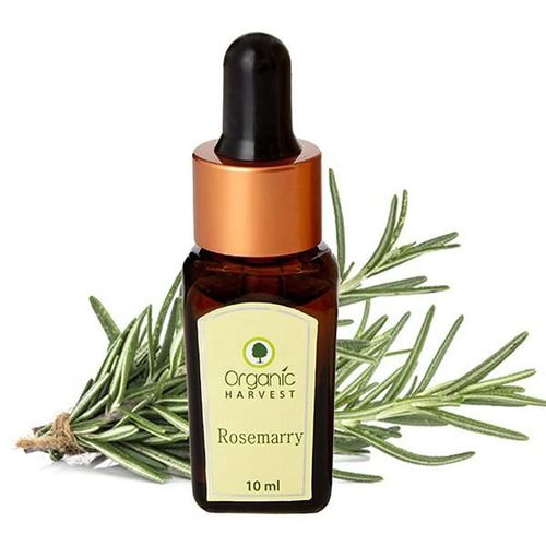 Organic Harvest Essential Oil - Rosemary 10 ml